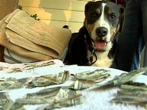 dog-eats-money.jpg
