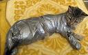 cat duct taped